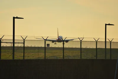 DSC_5731 (Large).JPG